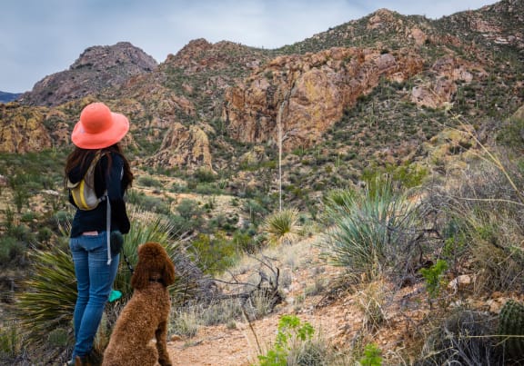 Woman Hiking with Dog in Arizona