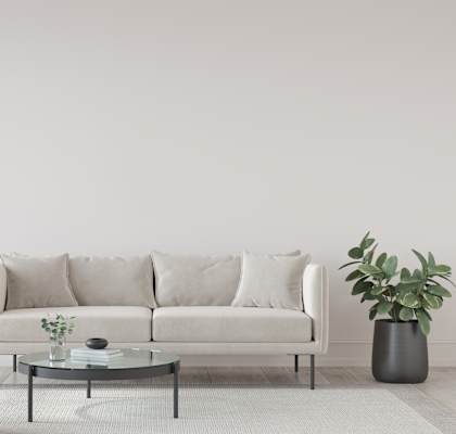 gray couch