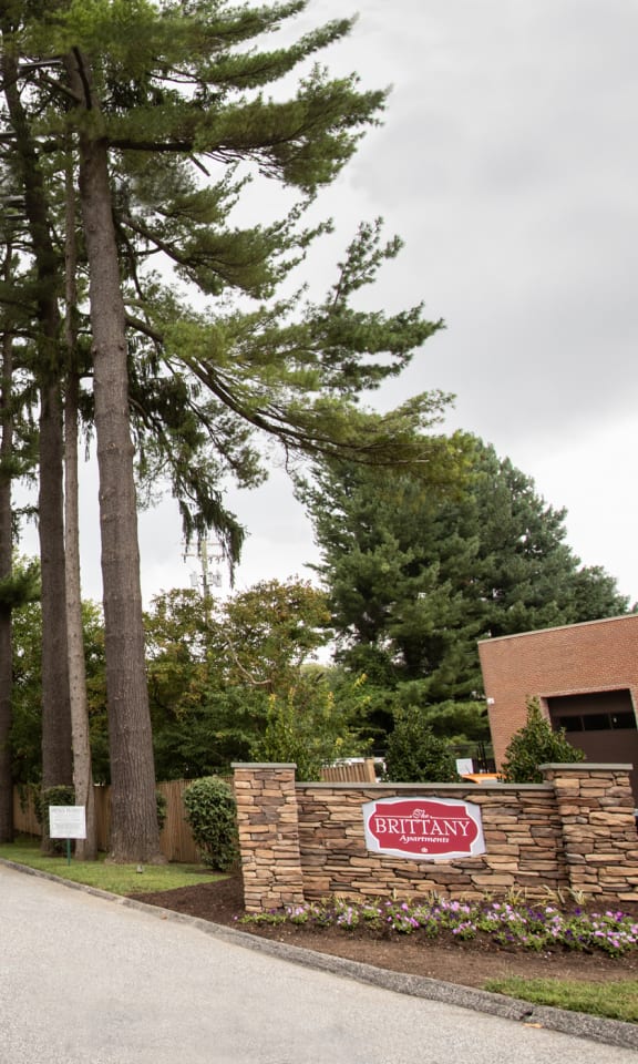 a driveway leading to a house with a stone wall and trees on either side of the driveway