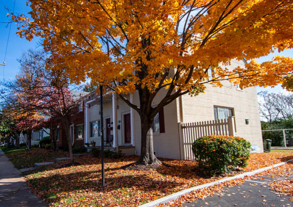 Brookville Townhomes Fall Colors Photo