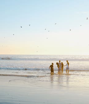 A group of people are standing in the water at the beach.