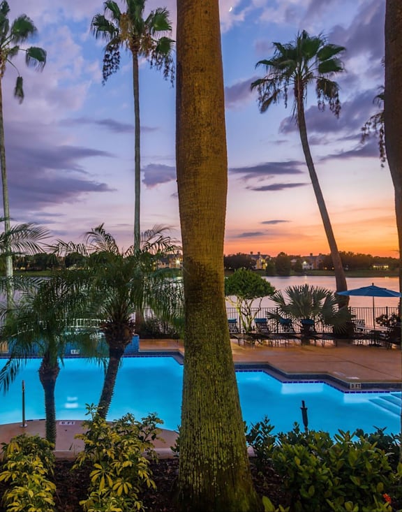 A pool surrounded by palm trees at dusk.