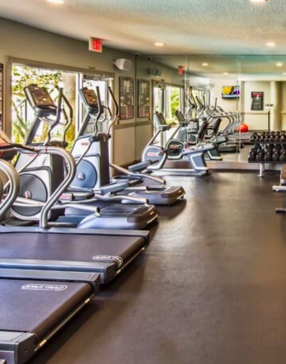 A gym with treadmills, dumbbells, and exercise equipment.