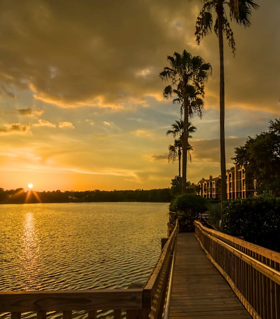 A wooden dock leads to a house surrounded by palm trees.