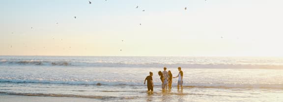 A group of people are standing in the water at the beach.