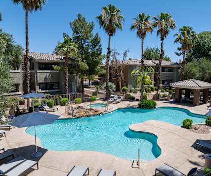 A swimming pool surrounded by palm trees and lounge chairs.