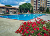 Thumbnail 17 of 26 - Carriage Park Apartments Swimming Pool