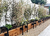 Thumbnail 13 of 16 - a long wooden retaining wall with plants in it