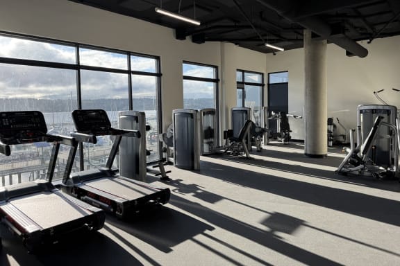 a gym with a view of the city and a lot of exercise equipment