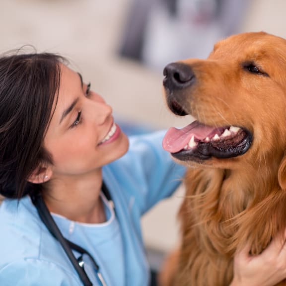 Apartments near MSU College of Veterinary Medicine | East Lansing Apartments