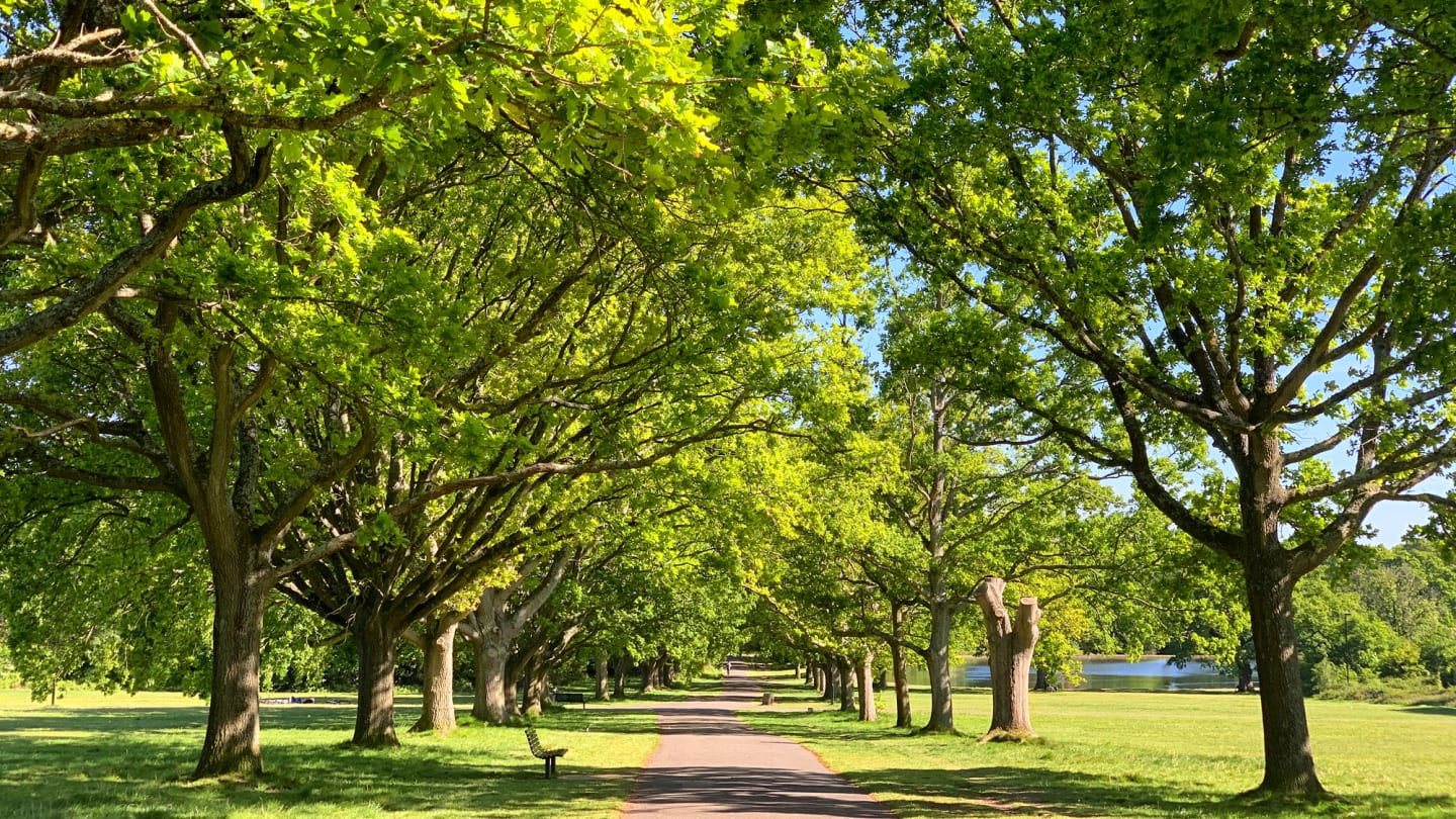Lynnwood Park Apartment Homes in Raleigh, NC