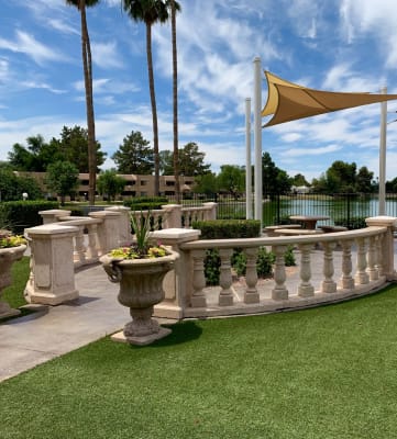 landscaping at Biltmore on the Lake in Phoenix AZ (2)