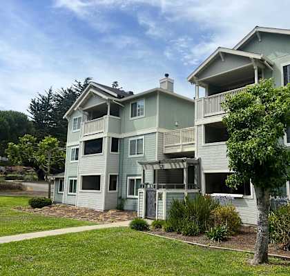 an image of an apartment building with a tree in front