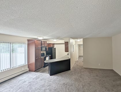 Kitchen and living room at Okemos Village in Okemos, MI