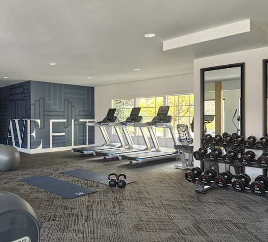 A gym with a variety of equipment including treadmills, weights, and exercise balls.
