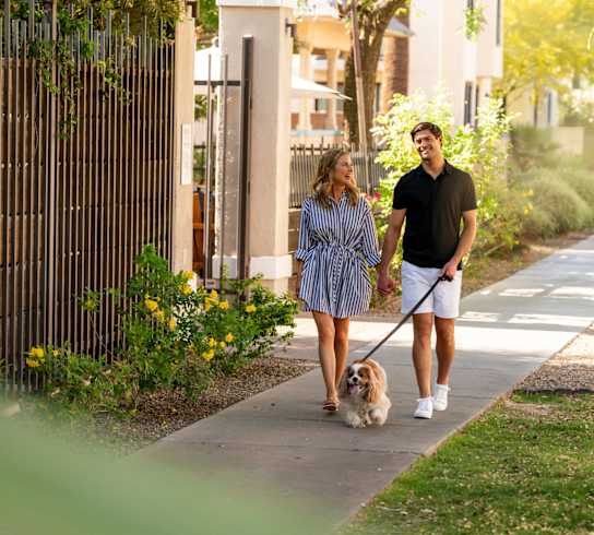 a man and woman walking their dog down a sidewalk