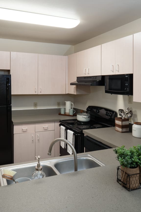a kitchen with white cabinets and black appliances and a sink at Stoneridge Apartments in Gainesville