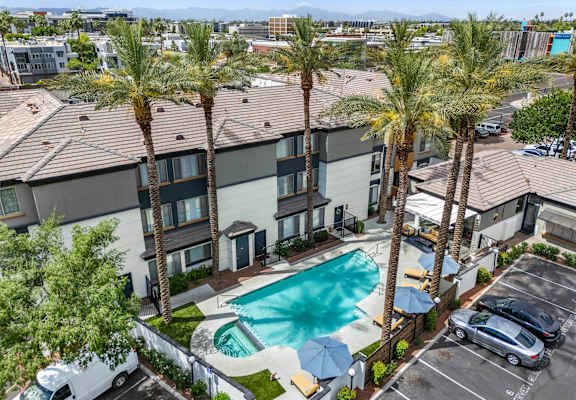 A swimming pool surrounded by palm trees and apartment buildings.