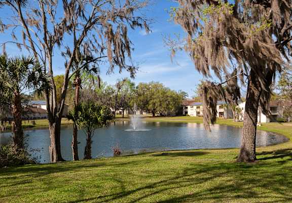 a view of a lake with trees and a fountain
