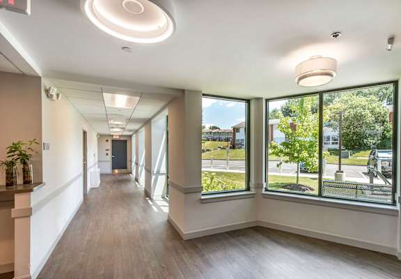 A long hallway with a plant on the left and a view of the outside through the windows on the right.