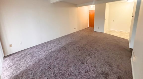 1016 Chester Apartments in Lansing, MI living room