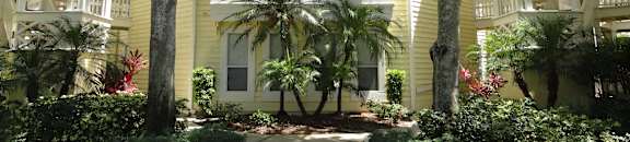 Exterior Bridgewater greenery at Bridgewater Apartments, St. Petersburg, 33716
