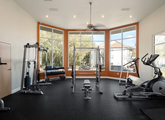 the gym has plenty of exercise equipment and large windows