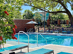 A beautiful gated swimming pool surrounded by lounge chairs, an umbrella, a large tree, and well-maintained landscaping.