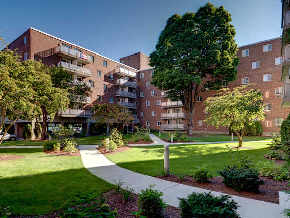 A large tree in a grassy area in front of apartment buildings at Edmands House, Framingham, 01701