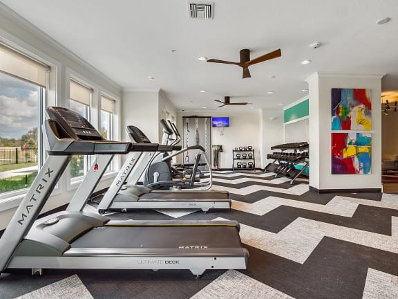 a home gym with treadmills and a colorful painting on the wall
