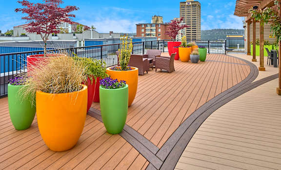 a roof top terrace with colourful potted plants and views of the city