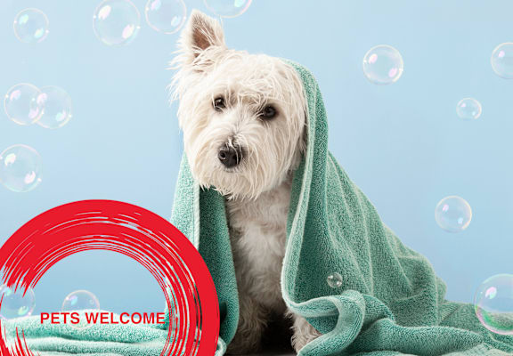 a white dog wrapped in a towel with a red pets welcome sign at Icon One, Daytona Beach, FL, 32114