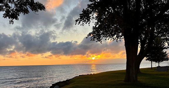 A tree stands on a grassy area by the water's edge at sunset.