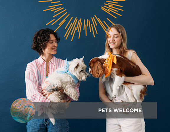 two people holding two dogs and a ball