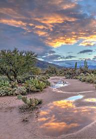 Avilla Tanque Verde near Sabino Canyon