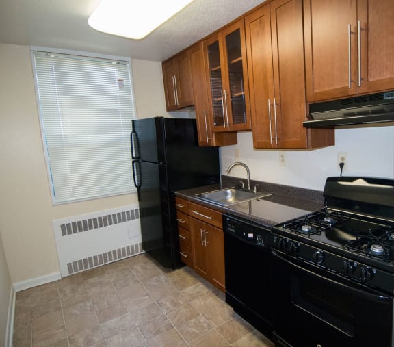 Steward Tower Two Bedroom Renvoated Kitchen