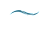 A blue wave-like design on a black background.