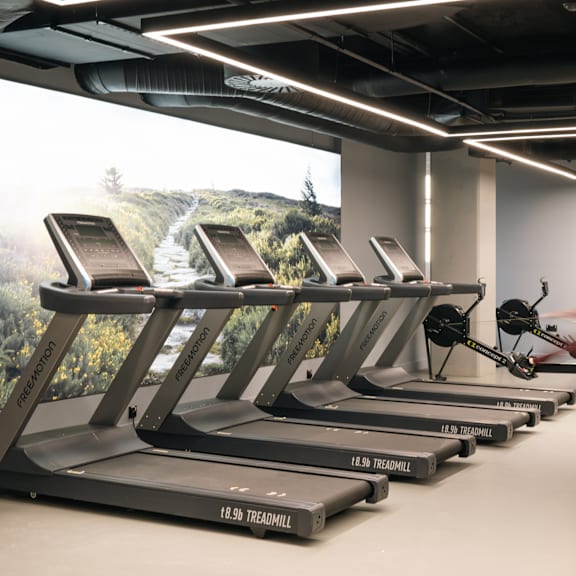 A series of treadmills are lined up in a row.