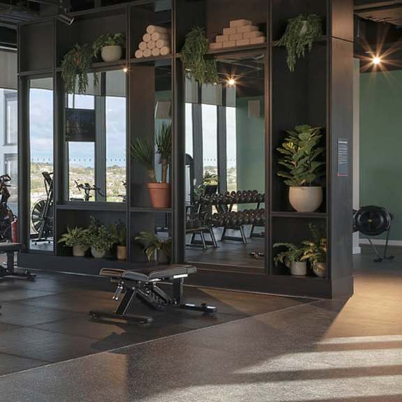 A modern room with a large window, a bench, and a variety of potted plants.