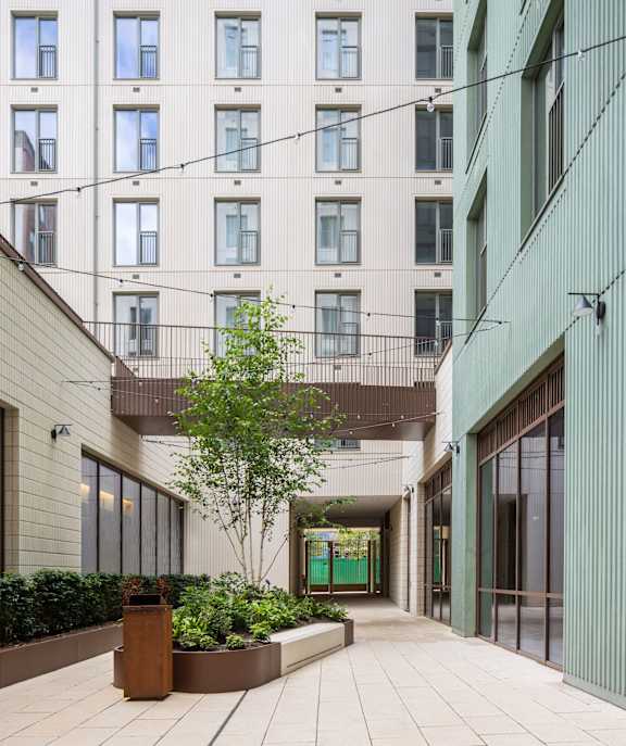 A tree in a planter is the only thing separating the courtyard from the building.