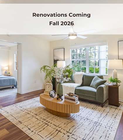 A living room with a rug, a sofa, a table with a vase, a clock, and a potted plant.