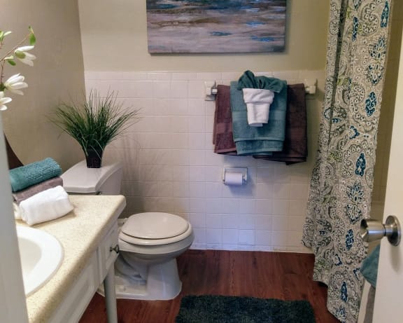 Photo Gallery Image