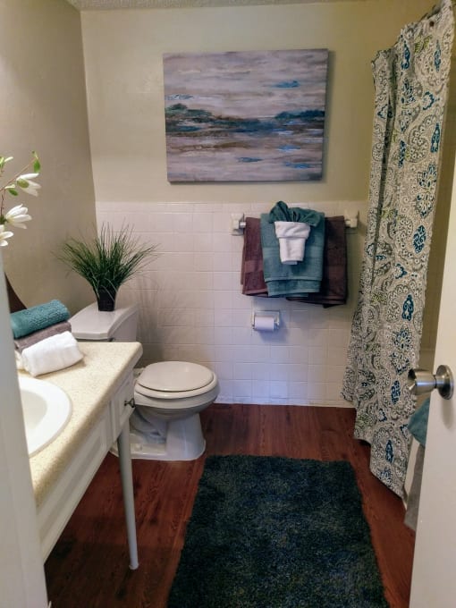 bathrooms with beautiful features at Fountains of Largo, Florida, 33774