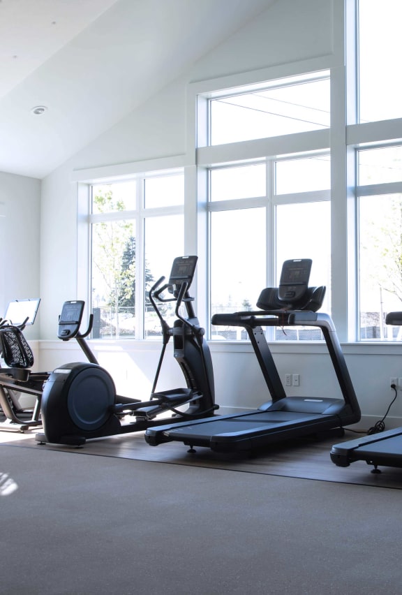 a row of treadmills and elliptical trainers in a gym