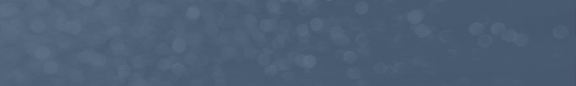 Haslett, MI Apartments | Newton Place Apartments banner with special