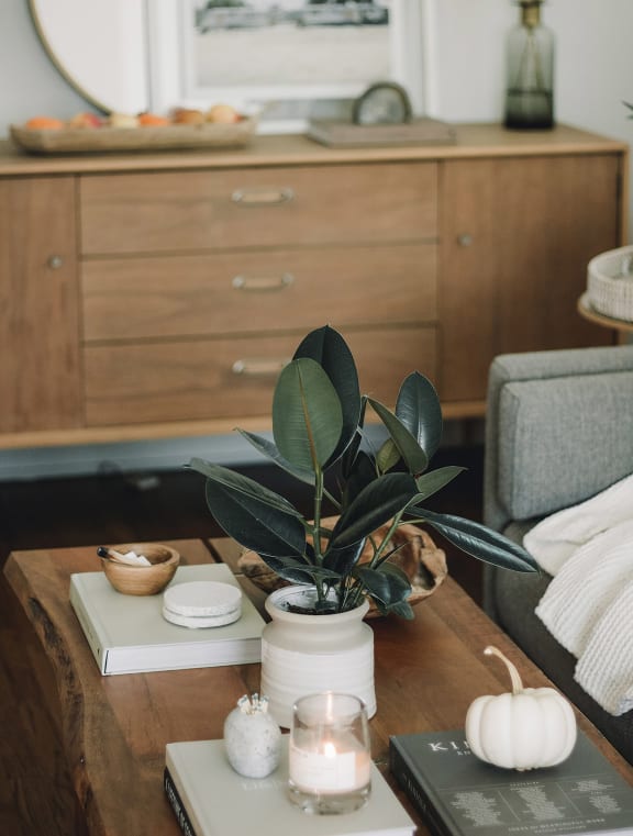 a living room with a coffee table with a plant on it