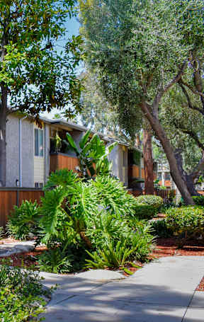 A house with a driveway and a tree in front of it.