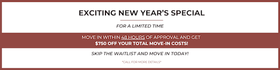 A promotional image for a New Year's special offer on moving services.