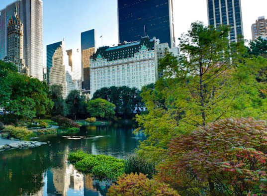 A serene park with a lake and trees in the foreground and a city skyline in the background.at Carnegie Mews, New York