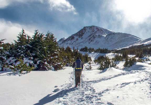a skier standing in the snow with a mountain in the background at Conifer Woods Apartments, Homer, AK